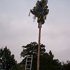 100 7275