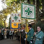 IMG 7810