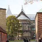 IMG 8841