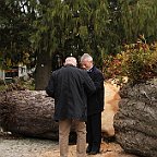 IMG 8944
