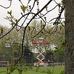 IMG 0303