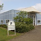 IMG 0317