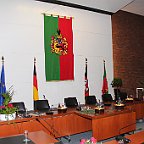 IMG 1101