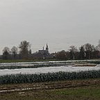 IMG 6299
