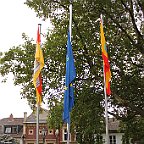 IMG 1598