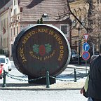 Zatec 2018 (31)