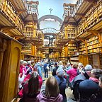 Weißenthurm 2026 (D) (657)